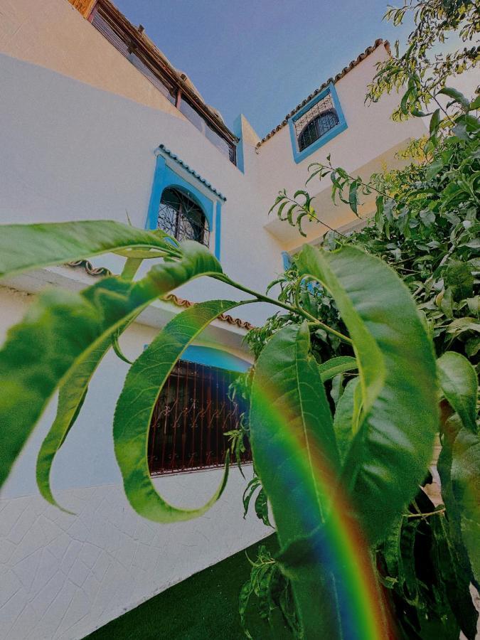 Auberge Dalia 舍夫沙万 外观 照片