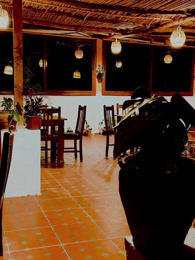 Auberge Dalia 舍夫沙万 外观 照片