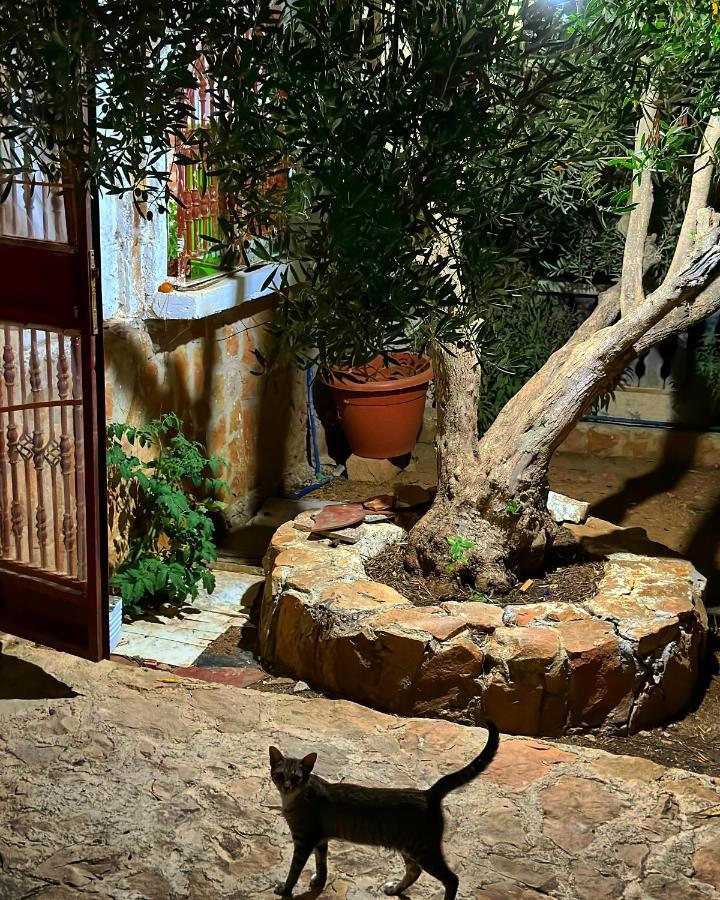 Auberge Dalia 舍夫沙万 外观 照片