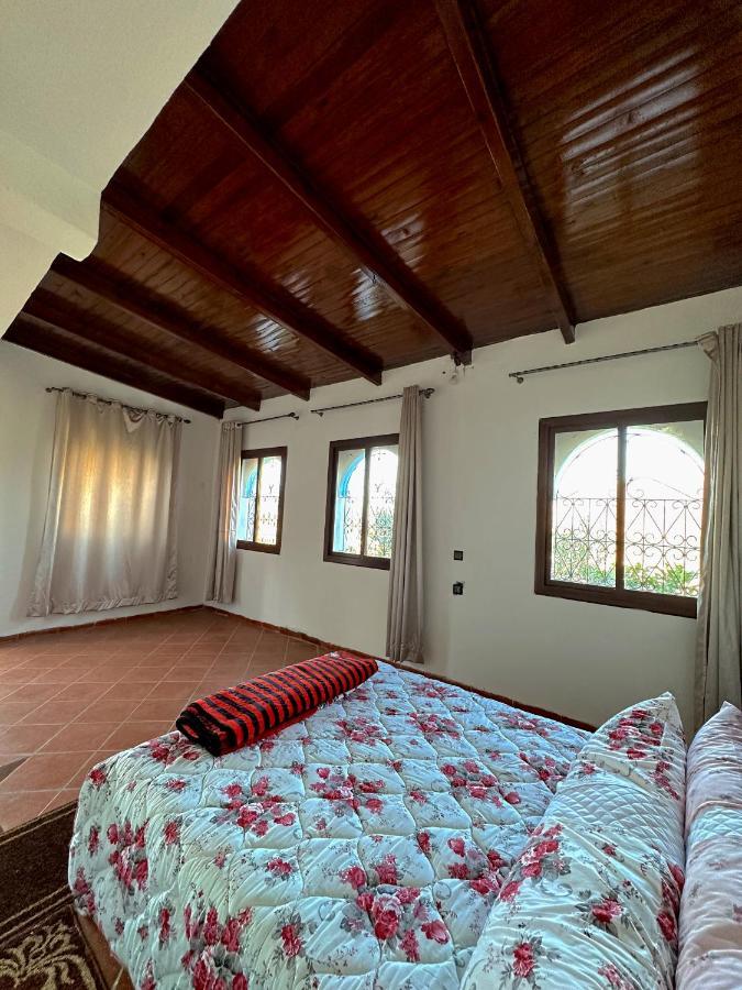 Auberge Dalia 舍夫沙万 外观 照片
